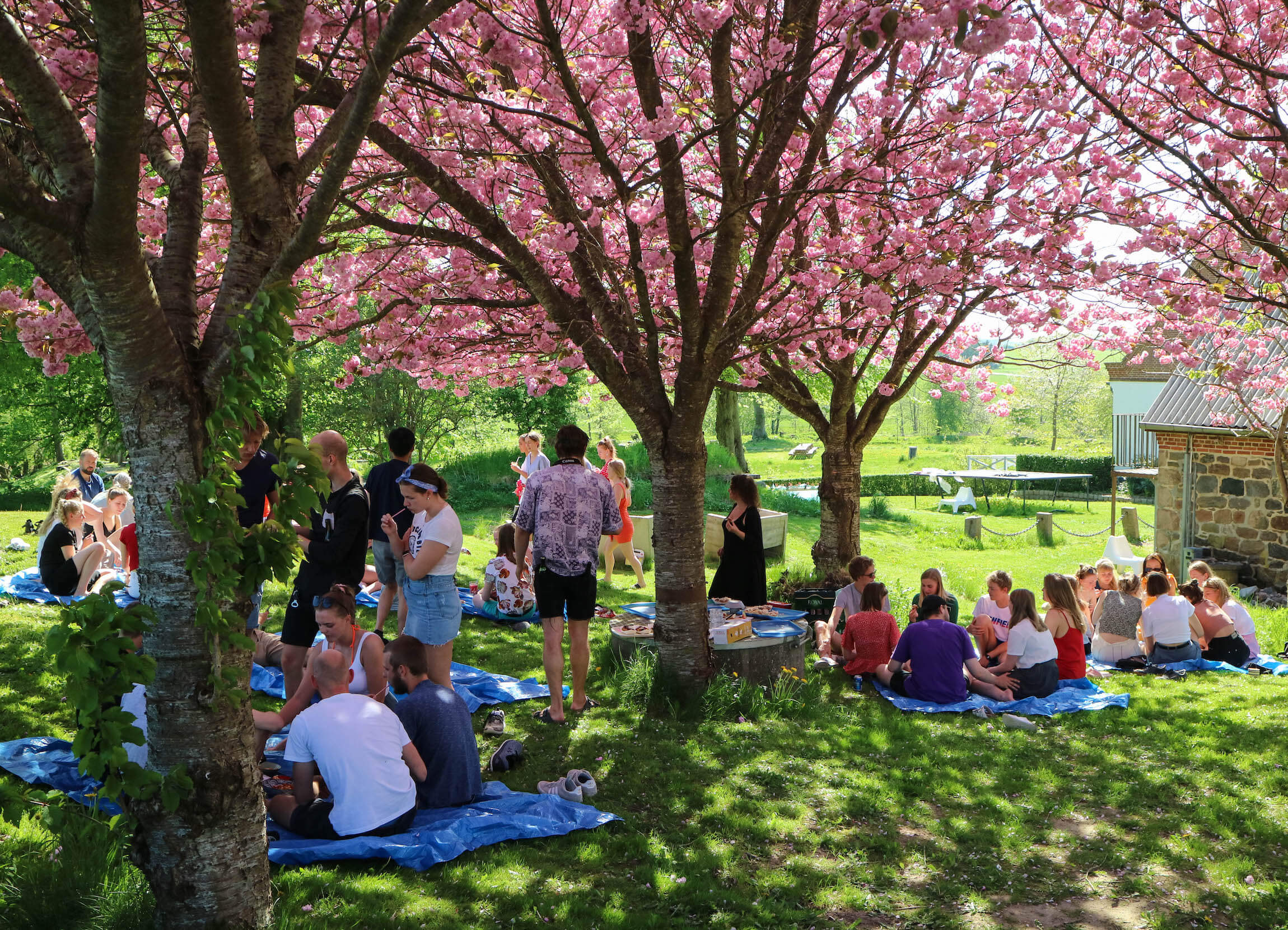 www.designhojskolen.dk-dsdh-hanami-12-2 (1)