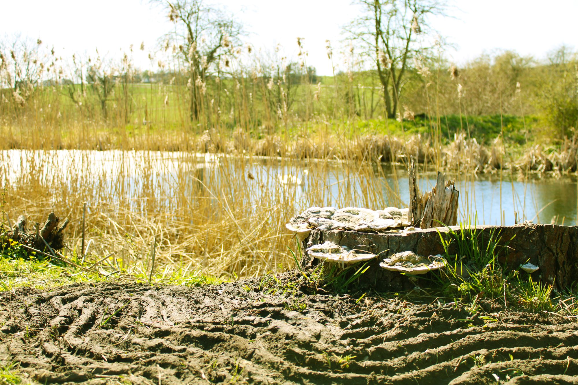 www.designhojskolen.dk-land-art-landscape-redigert-2000x1333