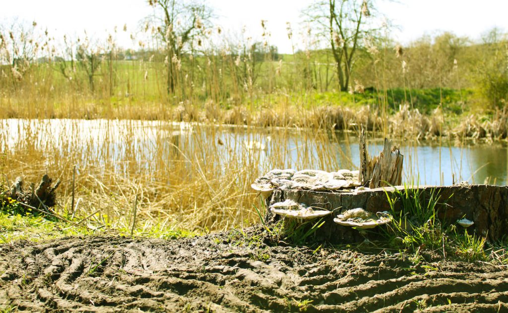 www.designhojskolen.dk-land-art-that-opens-our-perspective-landscape-redigert-thumbnail (1)